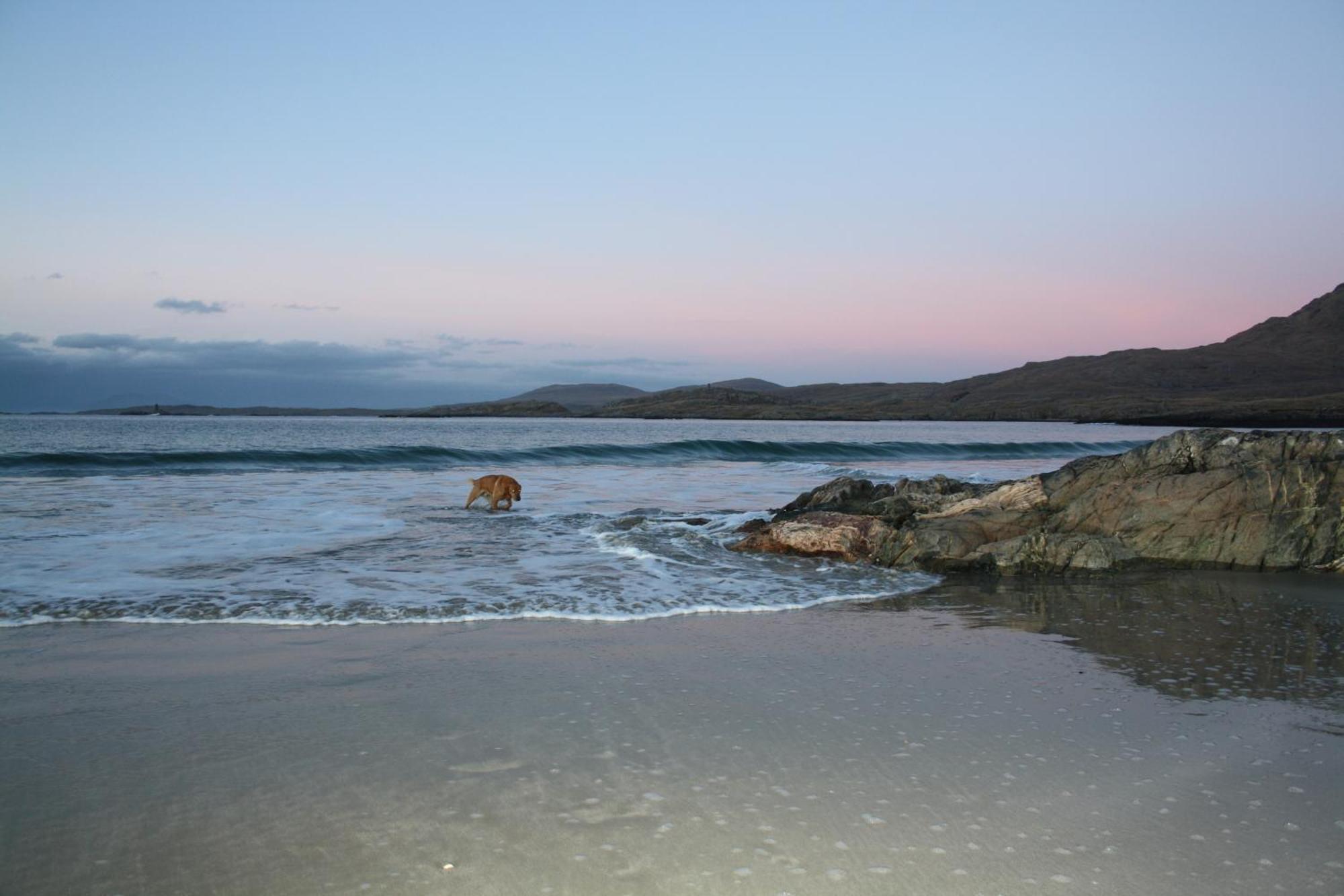 The Connemara Hostel - Sleepzone Leenaun Eksteriør bilde
