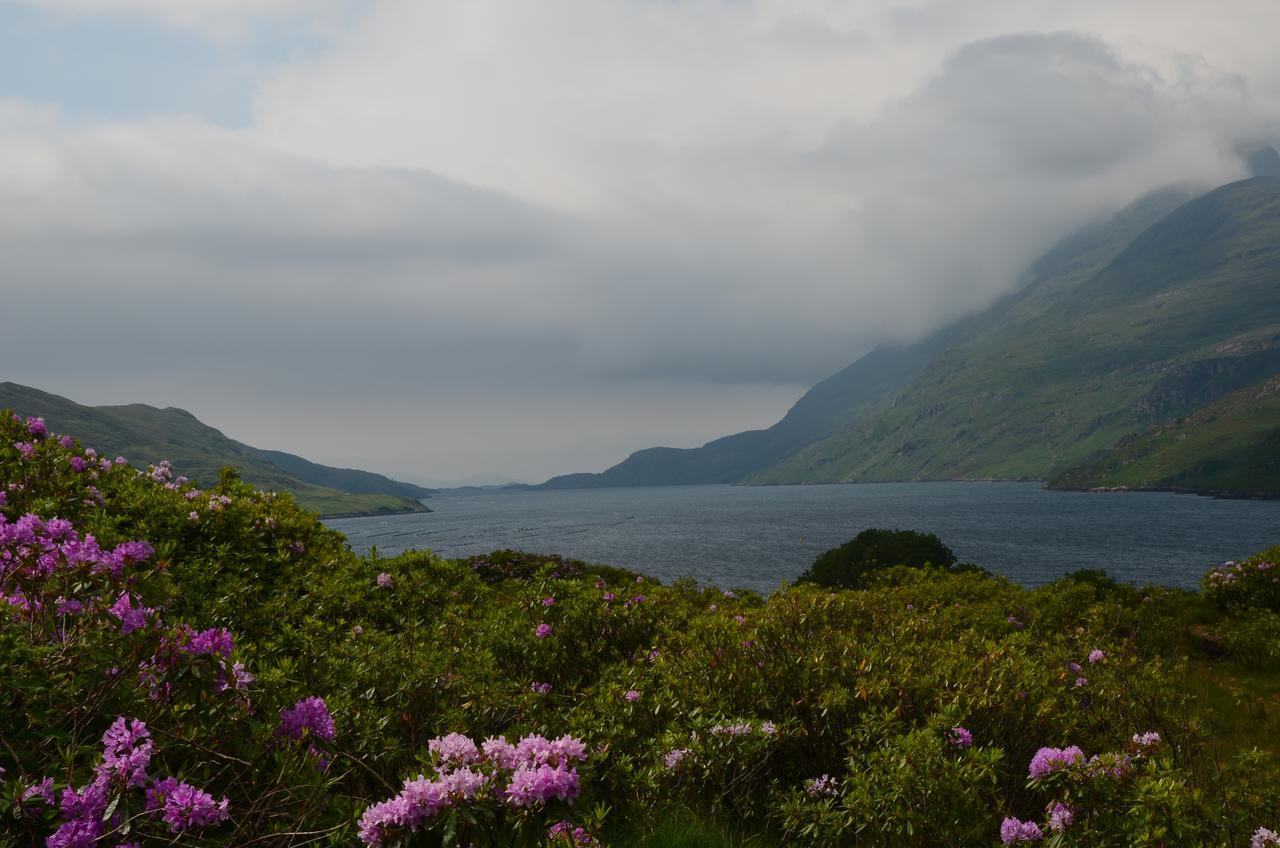 The Connemara Hostel - Sleepzone Leenaun Eksteriør bilde